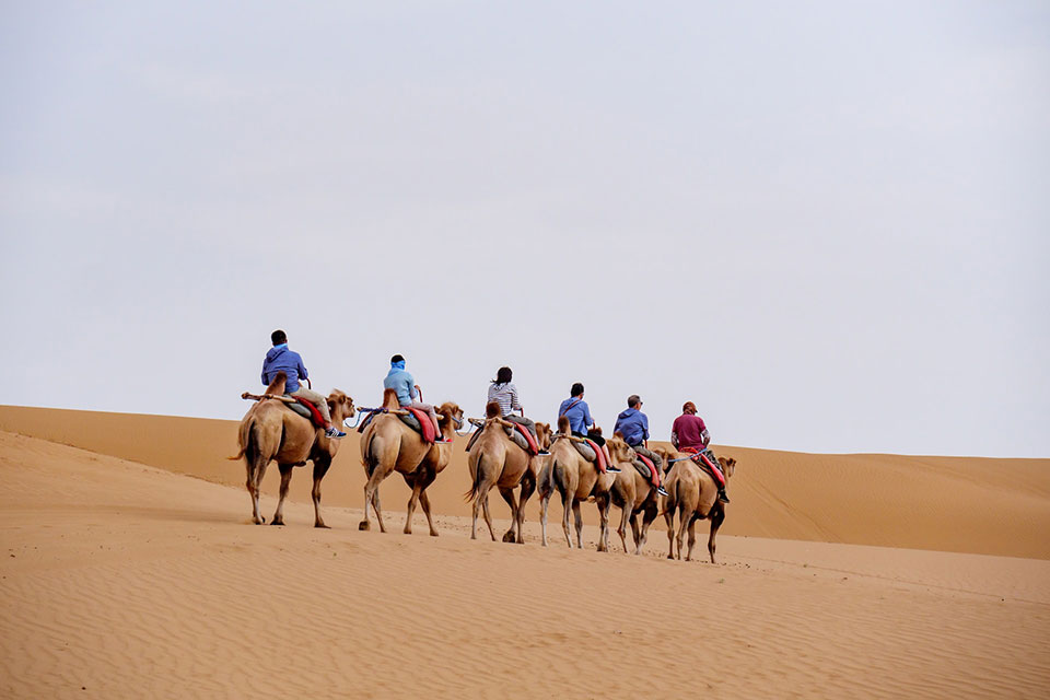Ningxia destination landscape