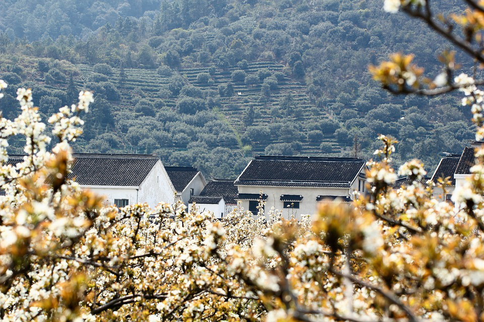 Suzhou destination landscape
